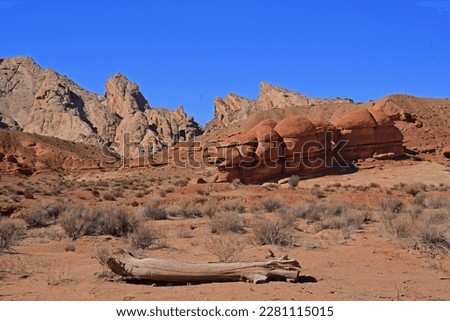 mushroom red rock formations, a log,  and the spectacular geological uplift of the san rafael swell anticline on a sunny  spring day, west of green river, utah 