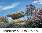 Mushroom Rock at brimham rocks North Yorkshire