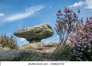 Mushroom Rock at brimham rocks North Yorkshire