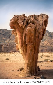 The Mushroom Rock In Dahab, Egypt