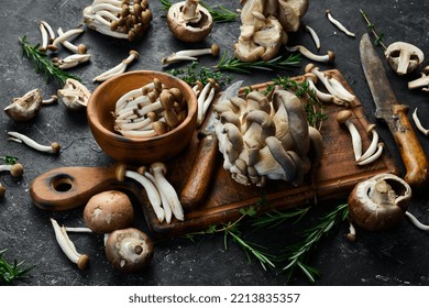 Mushroom set: Maitake Mushrooms, Brown beech mushroom, and champignons. Side view. On a stone background.