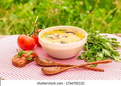 Mushroom vegetarian soup on a background of fresh air on a background of grass. Vegetarian lunch with mushroom soup, tomatoes, herbs, bread.
 - Powered by Shutterstock