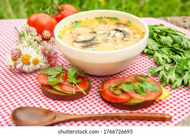 Mushroom vegetarian soup. Summer lunch with soup, tomatoes, bread, herbs in the fresh air. - Powered by Shutterstock