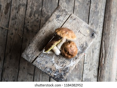 Mushrooms colected in the forest - Shutterstock ID 1184382952