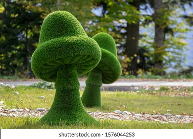 Mushrooms Created From Bushes At Green Animals. Topiary Gardens