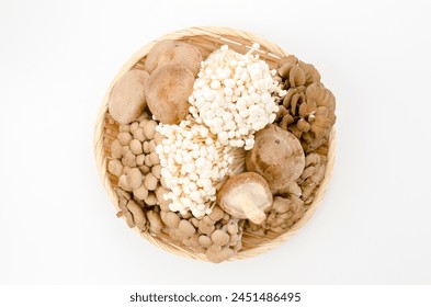 Mushrooms on a bamboo basket. Shimeji, buna-shimeji, Enoki, maitake, shiitake,  - Powered by Shutterstock