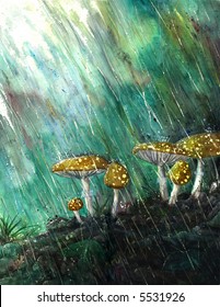 Mushrooms in the Rain