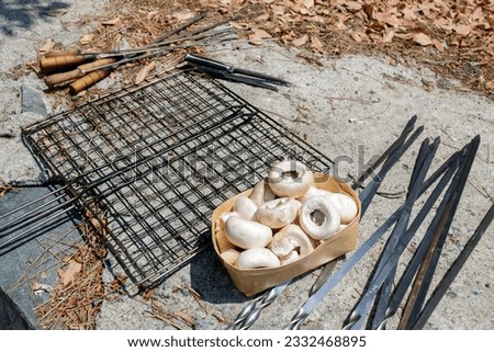Mushrooms, skewers and grill gridiron at picnic  