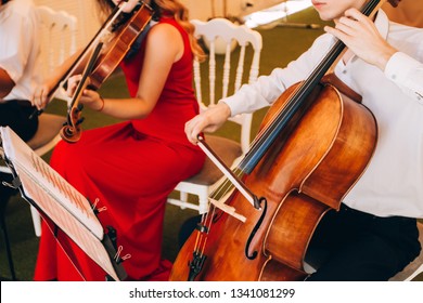 The Music Quartet Plays At The Wedding. String Quartet. The Actor Performs At A Party. Musical Instrument.