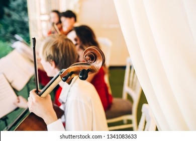 The Music Quartet Plays At The Wedding. String Quartet. The Actor Performs At A Party. Musical Instrument.