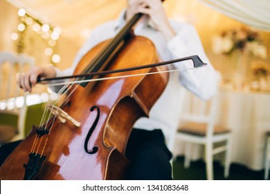 The Music Quartet Plays At The Wedding. String Quartet. The Actor Performs At A Party. Musical Instrument.