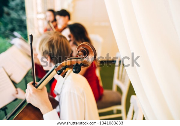 The music\
quartet plays at the wedding. String Quartet. The actor performs at\
a party. musical\
instrument.