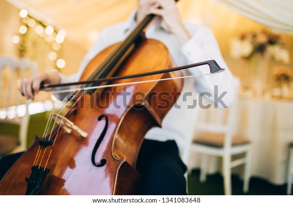 The music\
quartet plays at the wedding. String Quartet. The actor performs at\
a party. musical\
instrument.