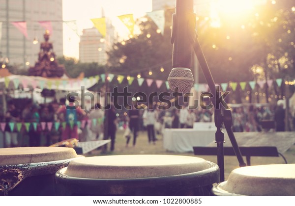 The musical instruments in the music festival in\
the city. There are many type of musical instrument in the music\
festival, the electric device or local things. But they are played\
together well.