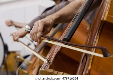 Musician hand playing the double bass in the orchestra closeup - Shutterstock ID 479716264