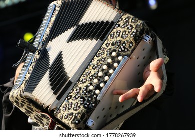 Musician playing an accordian up close. 