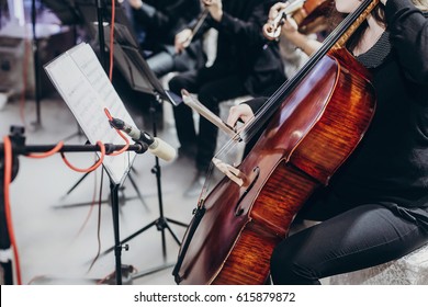 Musician Playing On Contrabass At Luxury Wedding Reception. String Quartet Performing At Expensive Wedding Ceremony. Bass And Chords. Performance And Entertainment. Space For Text