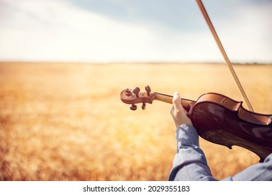 Musician playing violin outdoors in a field of wheat summer background