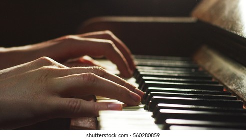 A musician plays the piano and reading the note in front of he. The musician or composer touches the piano keys with his long fingers. Concept: sound, music, academy, concert, pianist