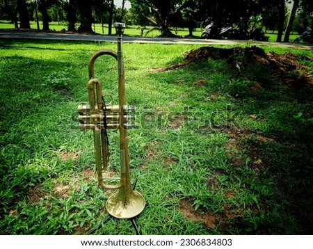 A musician is practicing playing the trumpet in a shady park.