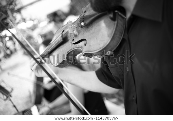 Musicians Group Playing Wedding Music During Stock Photo Edit Now