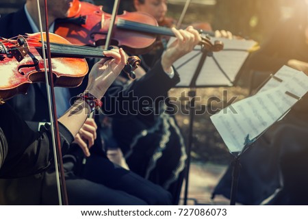 Musicians playing the violin close up.
