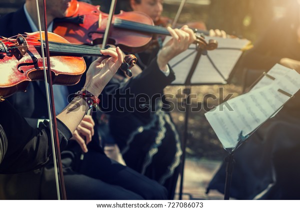 Musicians playing the violin\
close up.