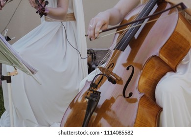 Musicians Violinist Band Playing At Violin And Contrabass At A Romantic Event. Girls In White Dresses Playing Live At A Wedding. Copy Space. 