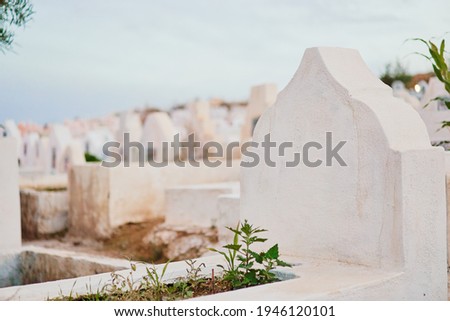 Muslim cemetery graves. Fez, Morocco, North Africa.
