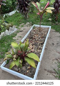 Muslim Grave In Blurred Focus. 