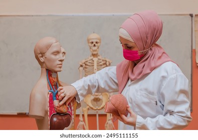 A Muslim teacher uses the human body model to explain anatomy on biology class in classroom lab.  - Powered by Shutterstock