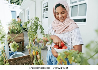 Muslim woman, gardening and fruit in home backyard or growing vegetables or fresh tomato, herbs or sustainability. Female person, hijab and hobby as plant environment or healthy, organic or harvest - Powered by Shutterstock