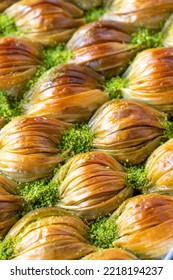 Mussel Baklava With Pistachio. Traditional Turkish Cuisine Delicacies. Close Up