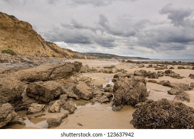 Mussel Covered Rocks On Beach In Crystal Cove Newport Beach California