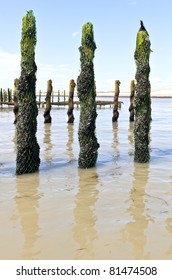 Mussel Farm In The France Sea