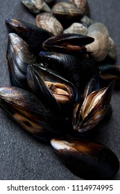 mussel and manila clam