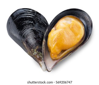 Mussel in a shape of heart. File contains clipping paths.