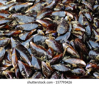 Mussels At The Main Fish Market In Catania, Italy.