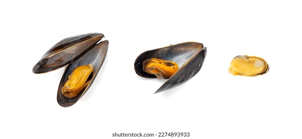 Mussels Pile Isolated, Unshelled Clam, Peeled Mussel, Open Shellfish Seafood, Mussels Meat, Cooked Shellfish, Clams on White Background Top View, Clipping Path