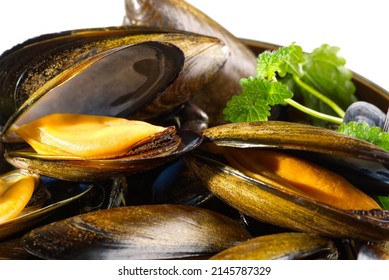 Mussels In Sauce. Shellfish Dish. Seafood Dishes. Fresh Mussels.