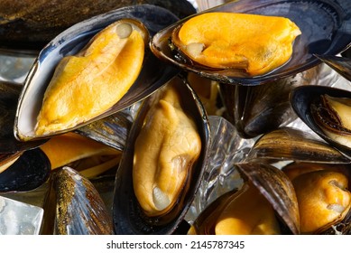 Mussels In Sauce. Shellfish Dish. Seafood Dishes. Fresh Mussels.