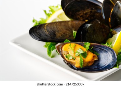 Mussels In Sauce. Shellfish Dish. Seafood Dishes. Fresh Mussels.