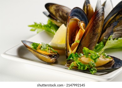 Mussels In Sauce. Shellfish Dish. Seafood Dishes. Fresh Mussels.