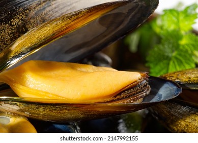 Mussels In Sauce. Shellfish Dish. Seafood Dishes. Fresh Mussels.