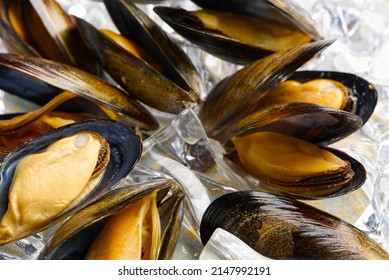 Mussels In Sauce. Shellfish Dish. Seafood Dishes. Fresh Mussels.