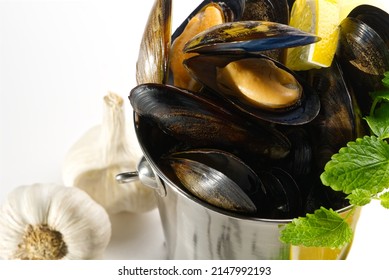 Mussels In Sauce. Shellfish Dish. Seafood Dishes. Fresh Mussels.