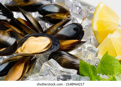 Mussels In Sauce. Shellfish Dish. Seafood Dishes. Fresh Mussels.