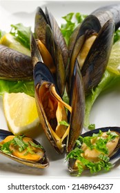 Mussels In Sauce. Shellfish Dish. Seafood Dishes. Fresh Mussels.