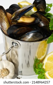 Mussels In Sauce. Shellfish Dish. Seafood Dishes. Fresh Mussels.