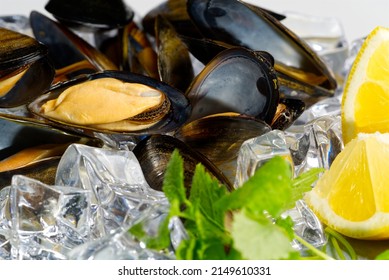 Mussels In Sauce. Shellfish Dish. Seafood Dishes. Fresh Mussels.